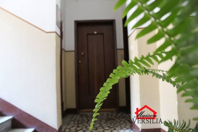 Appartamento MASSA vendita  Massa  Maison Versilia Real Estate
