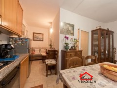 Appartamento MASSA vendita  Mirteto  Maison Versilia Real Estate
