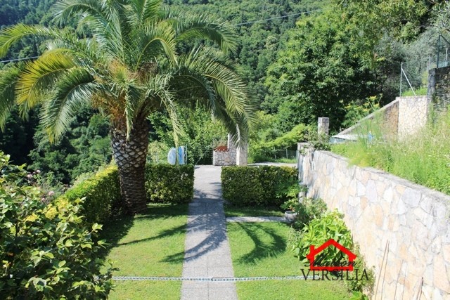 Villa Bifamiliare MONTIGNOSO vendita  Capanne  Maison Versilia Real Estate