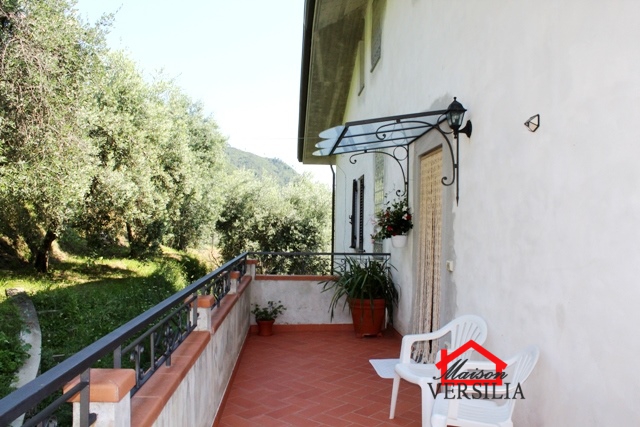 Villa Bifamiliare MONTIGNOSO vendita  Capanne  Maison Versilia Real Estate