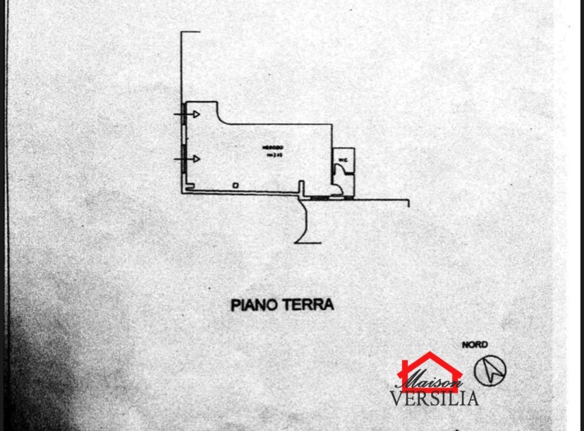 Locale Commerciale Massa MS1274485