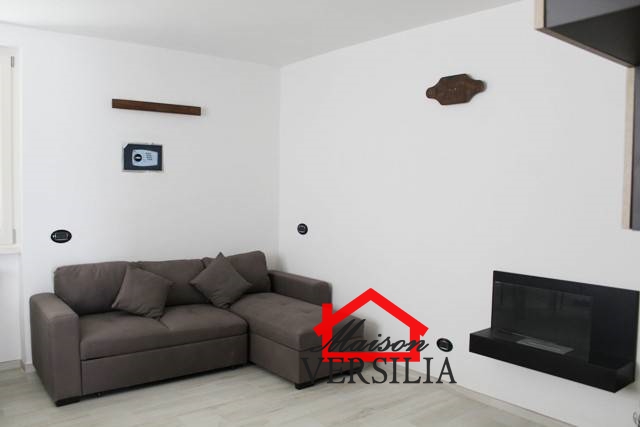 Casa Semindipendente Forte dei Marmi LU1268095